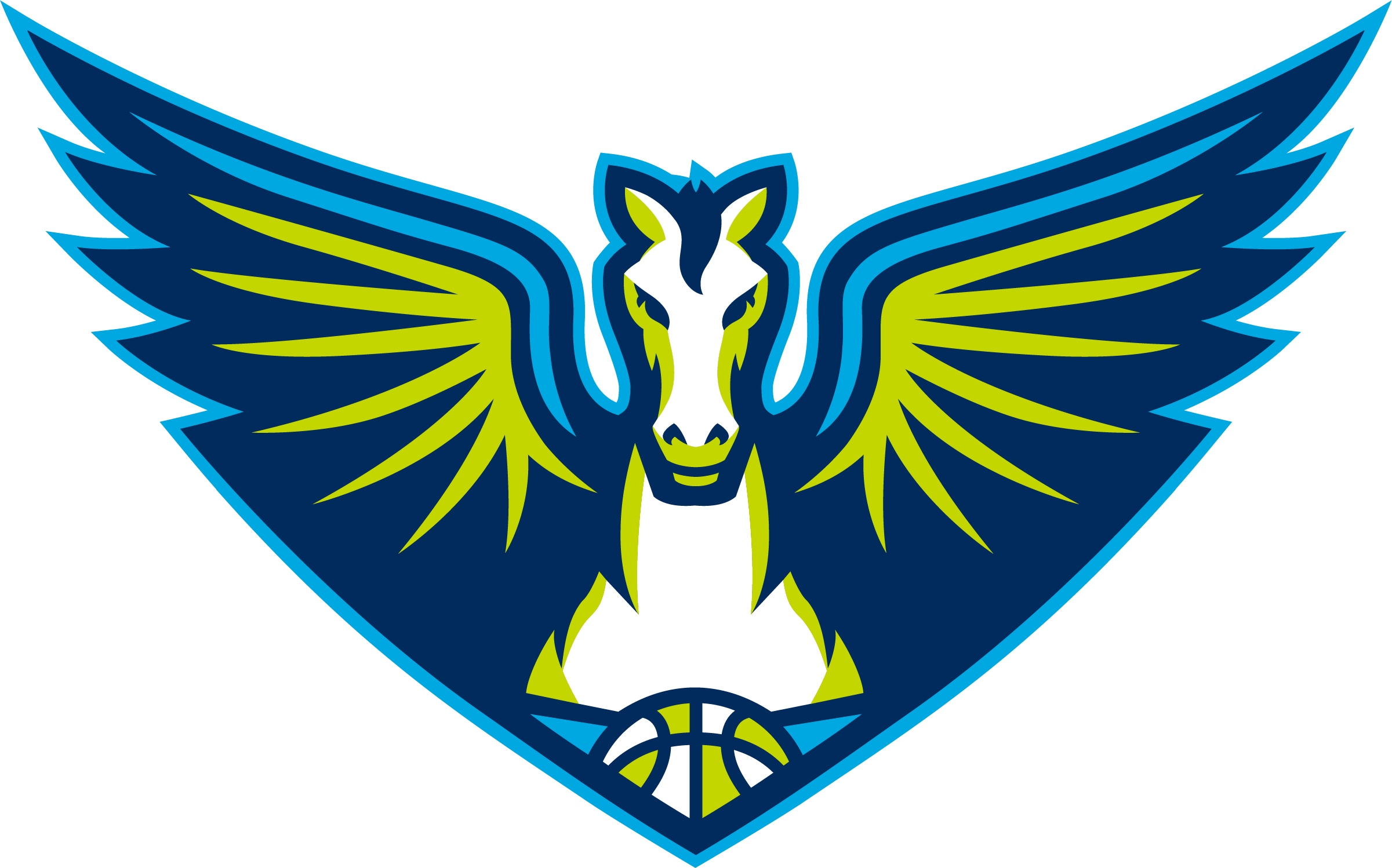 Dallas Wings