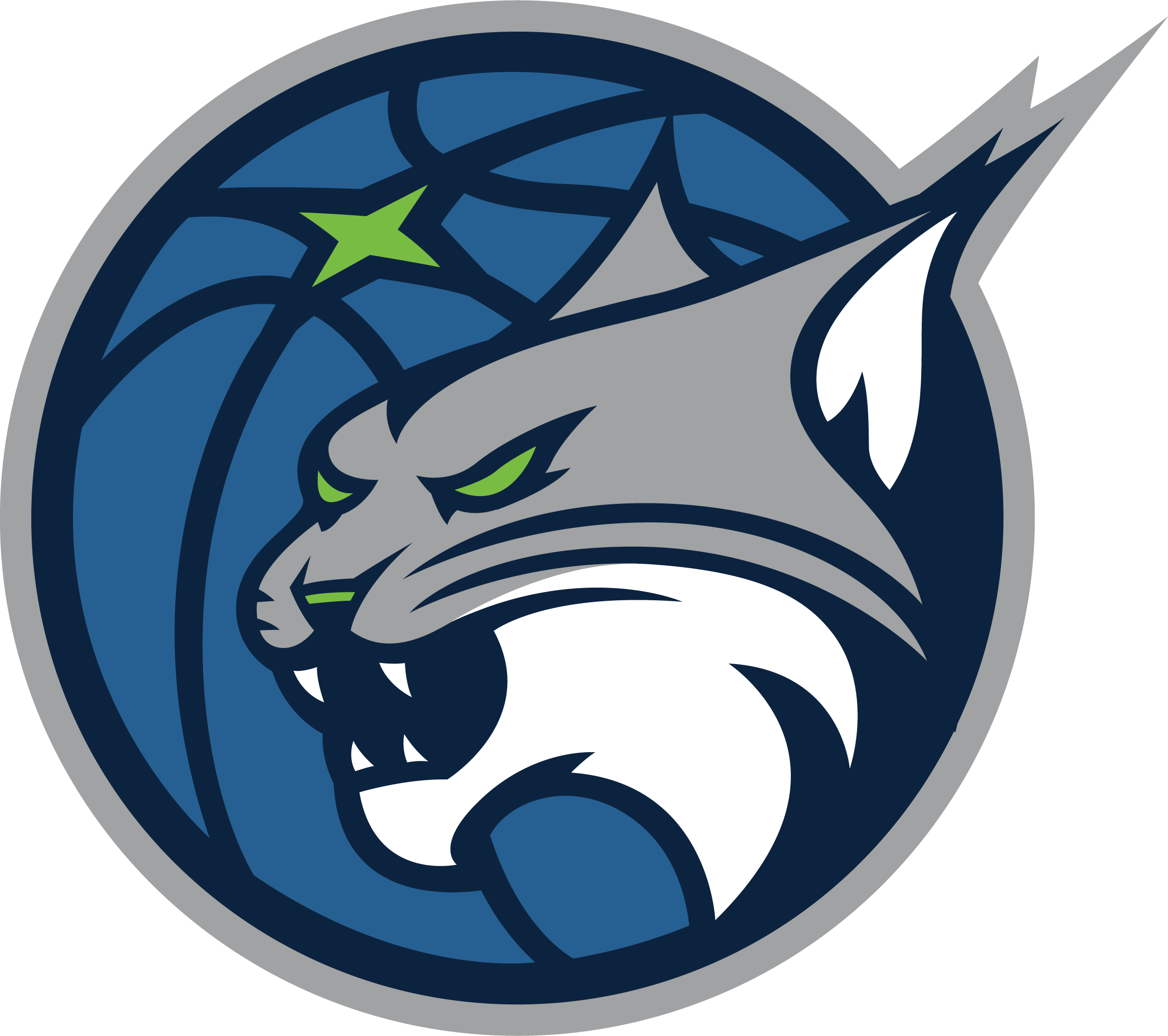 Minnesota Lynx