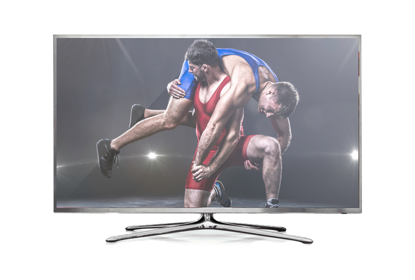 WWE Pay Per View DISH
