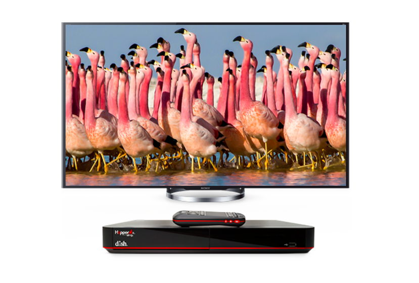 Flamingos on TV with DISH Hopper 3 DVR receiver