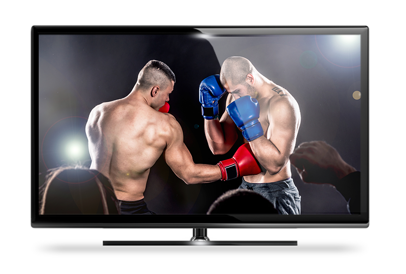 TV screen with boxing match on
